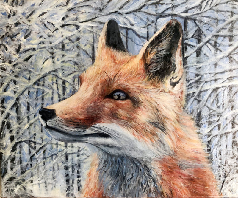 A fox looking alert and handsome into the distance with snow covered trees behind him. 8x10 | Oil on Canvas